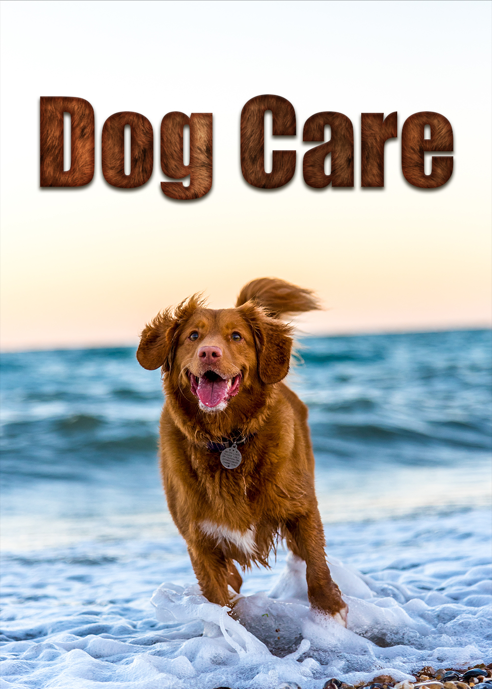 Dog Care