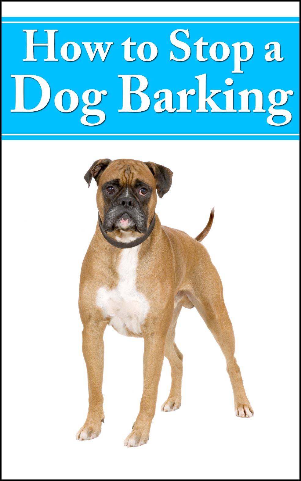 How To Stop A Dog Barking