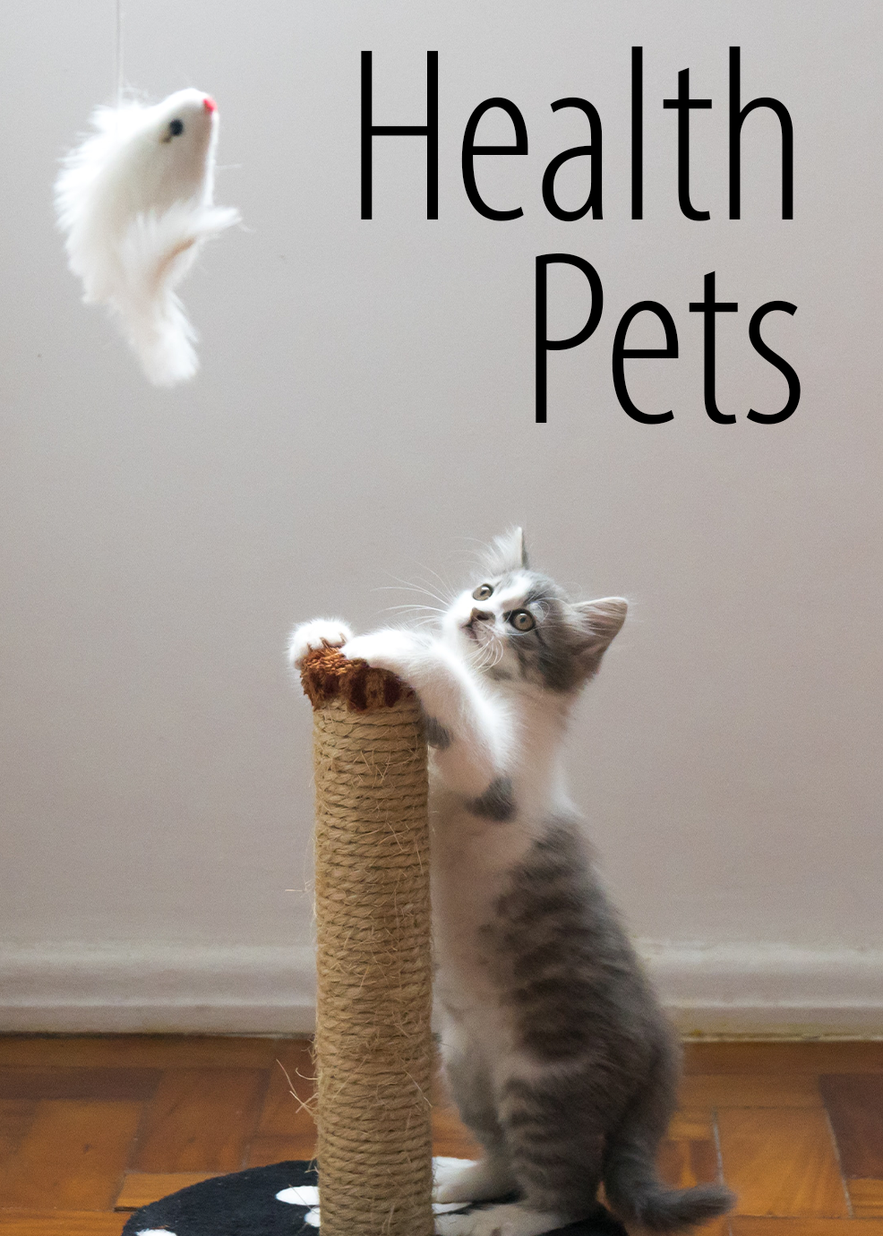 Healthy Pets