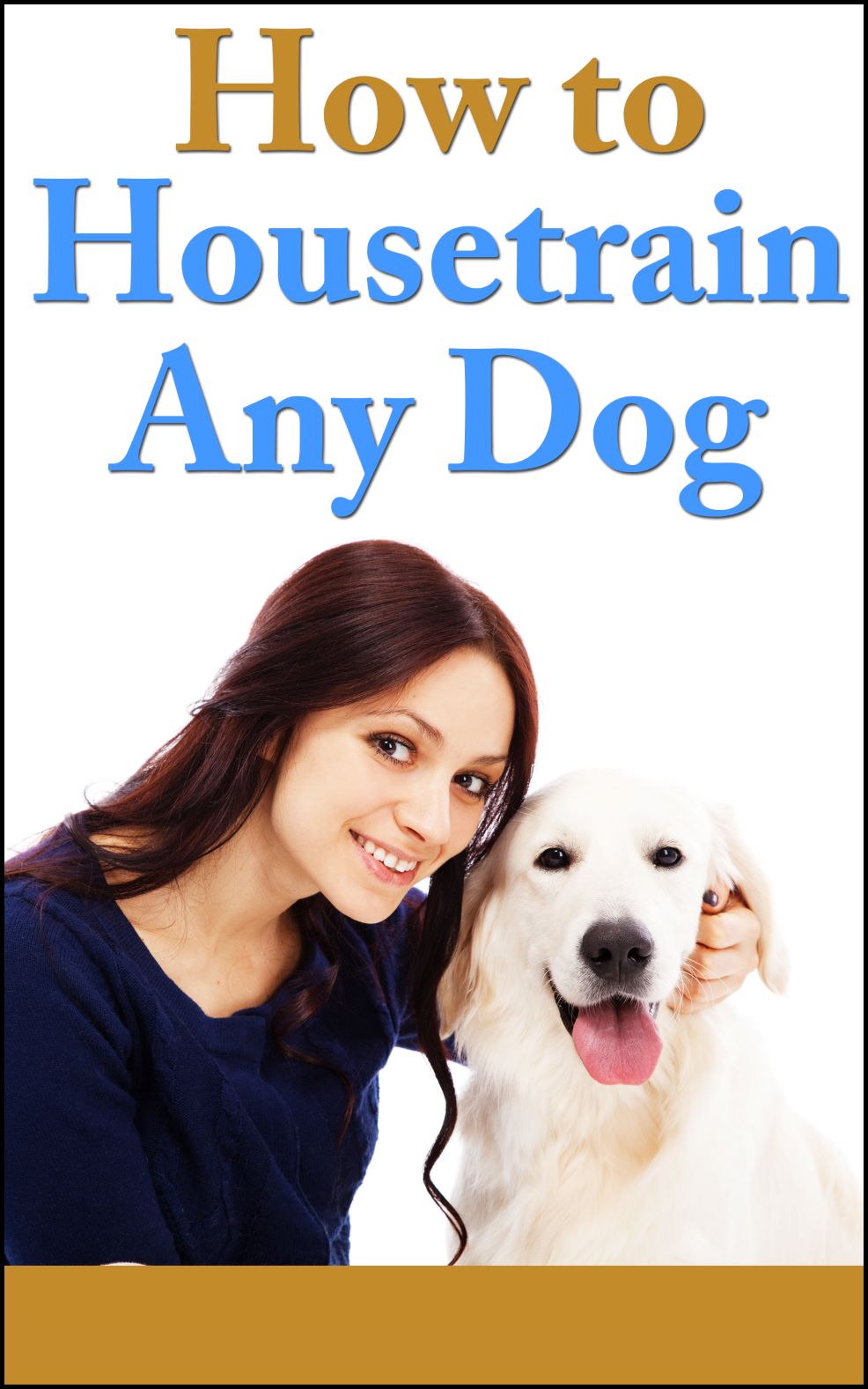 How To Housetrain Any Dog