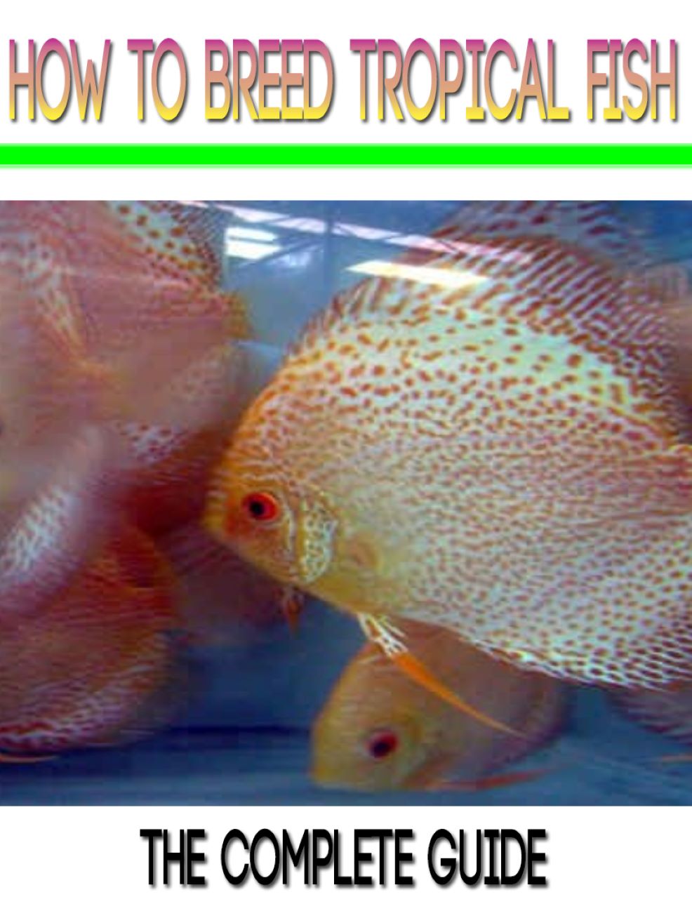 How To Breed Tropical Fish