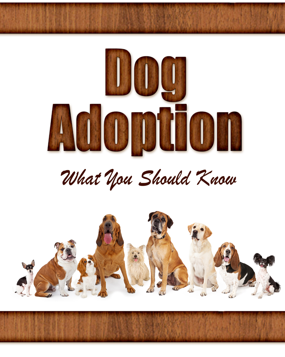 Dog Adoption What You Should Know