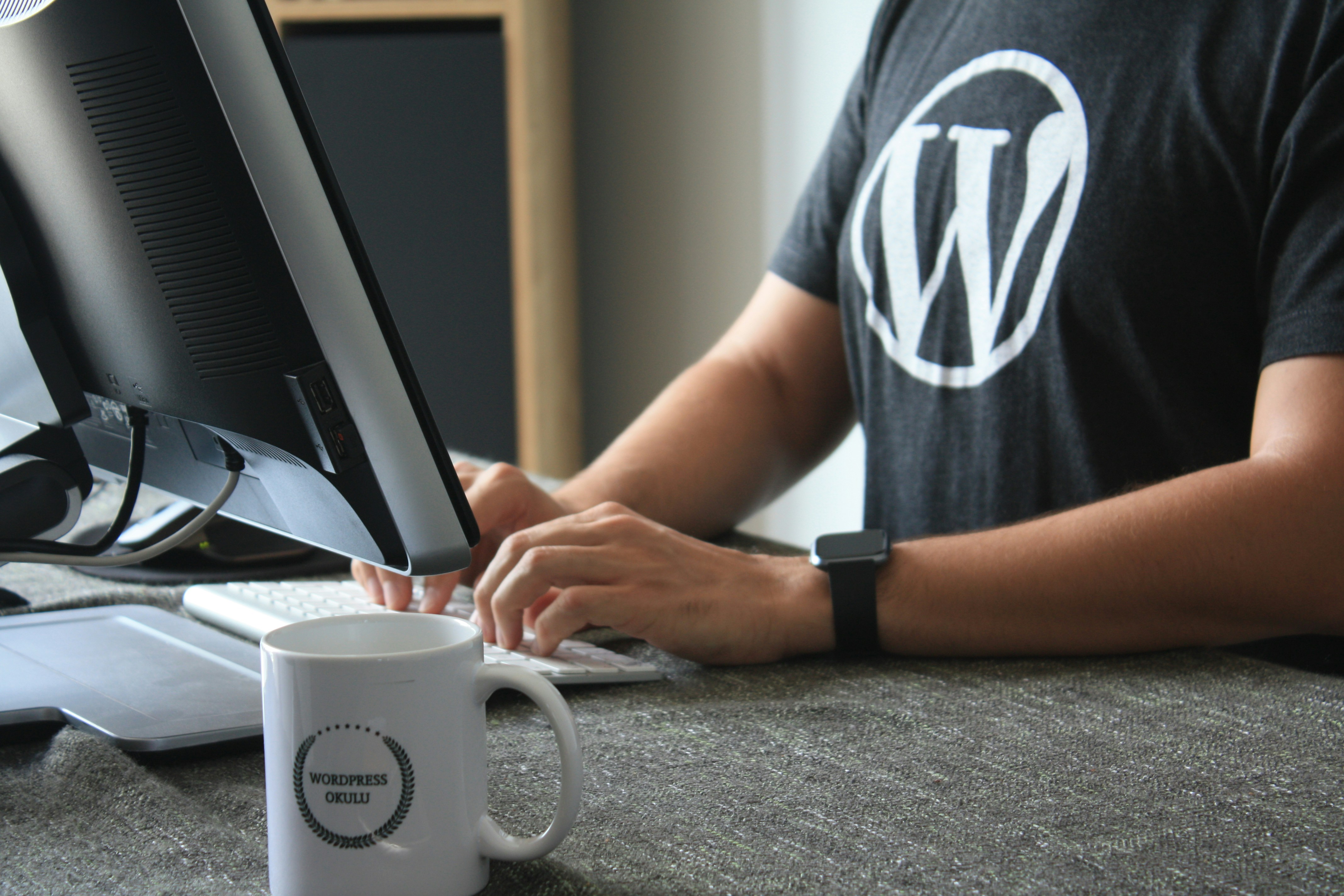 Mastering WordPress Website Development & SEO without Coding