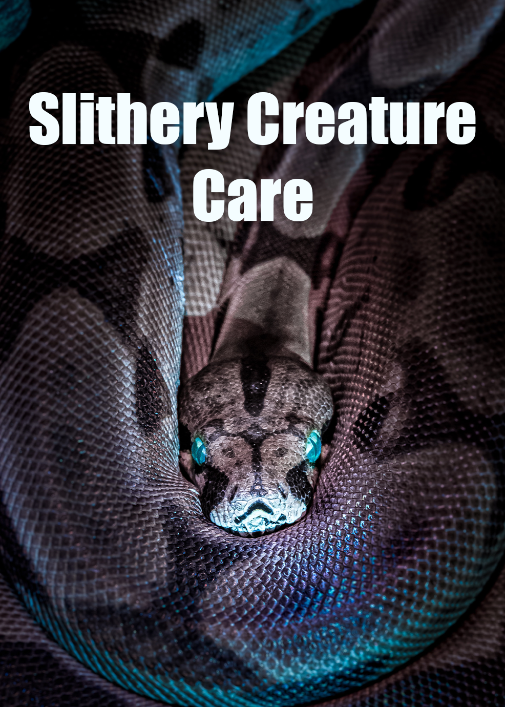 Slithery Creature Care